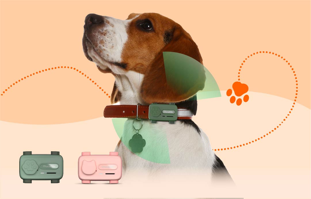 Why Dog Owners Need Pet Phone: Comfort Your Furry Friend With Real-Time Calls & Music Anywhere