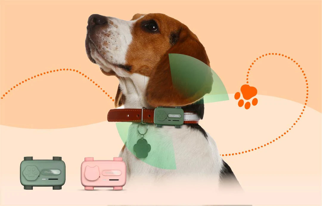 Why Dog Owners Need Pet Phone: Comfort Your Furry Friend With Real-Time Calls & Music Anywhere