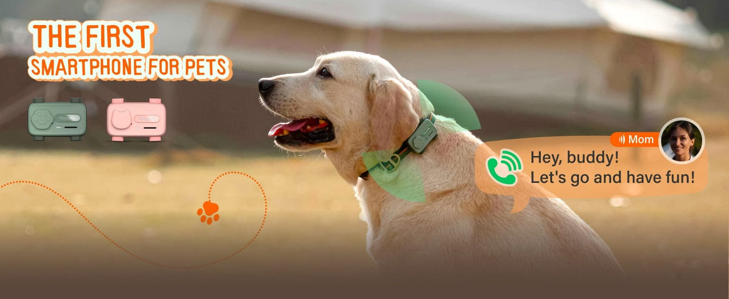 GlocalMe PetPhone Smartphone Designed For Pet