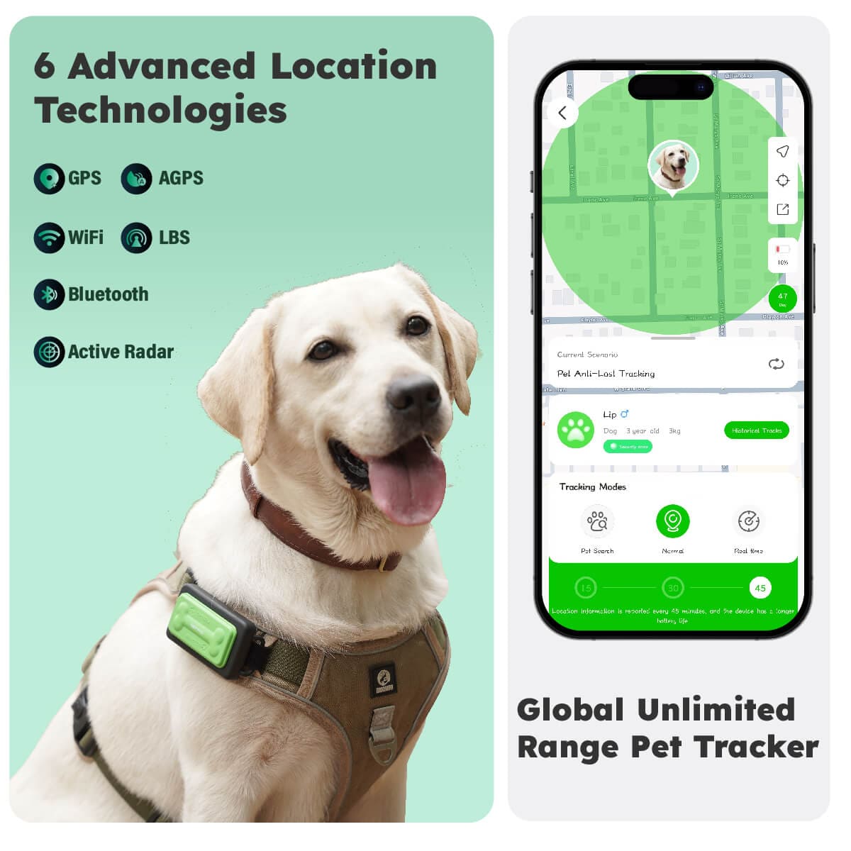 KeyTracker for Pet