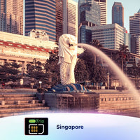 GlocalMe eSIM 트리오