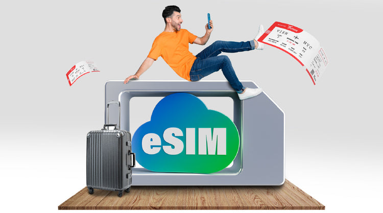 GlocalMe und SIM