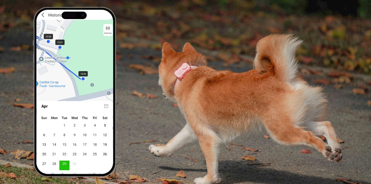 PetPhone Smartphone For Dog