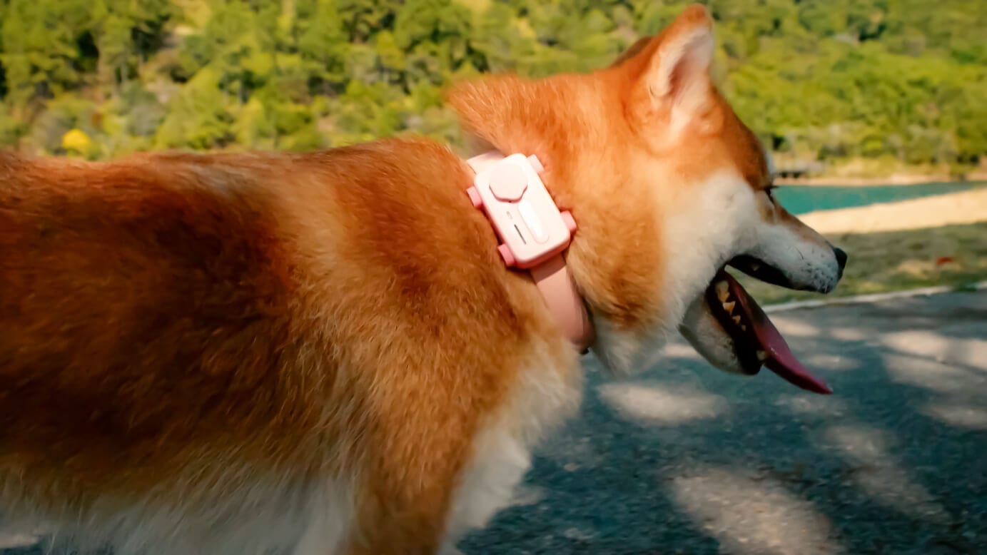 GlocalMe PetPhone Smartphone For Pet